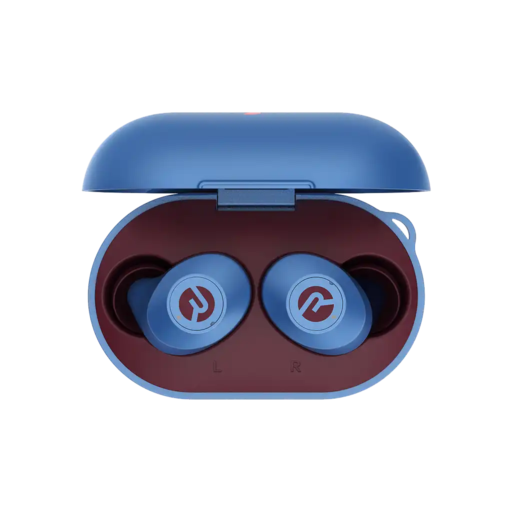 raycontechus.com
