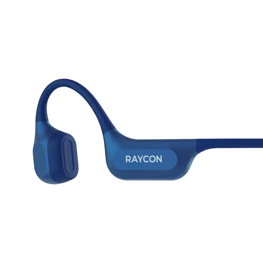 raycontechus.com