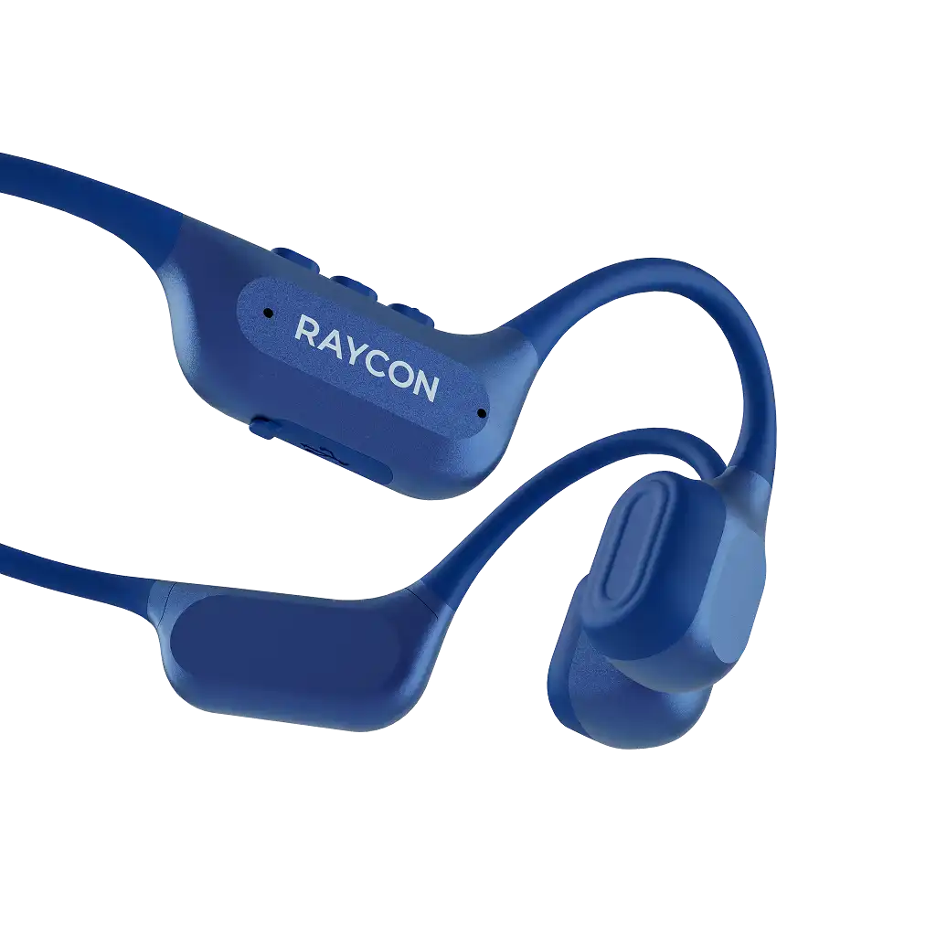raycontechus.com