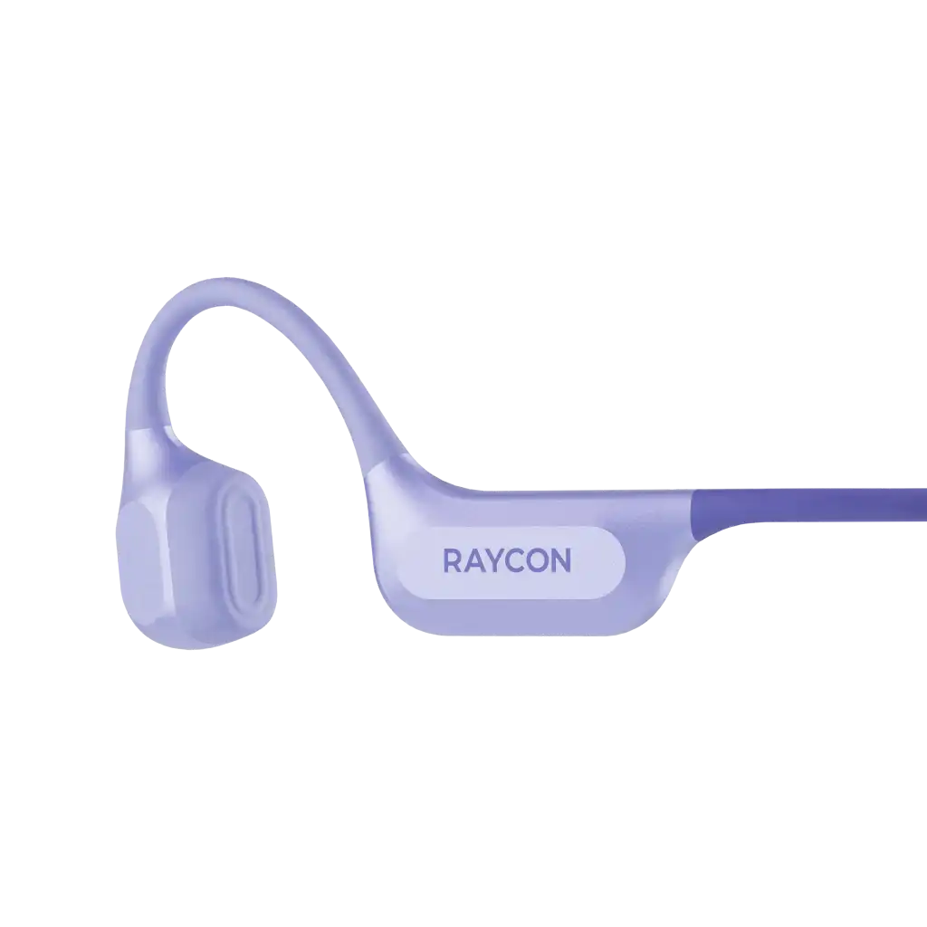 raycontechus.com