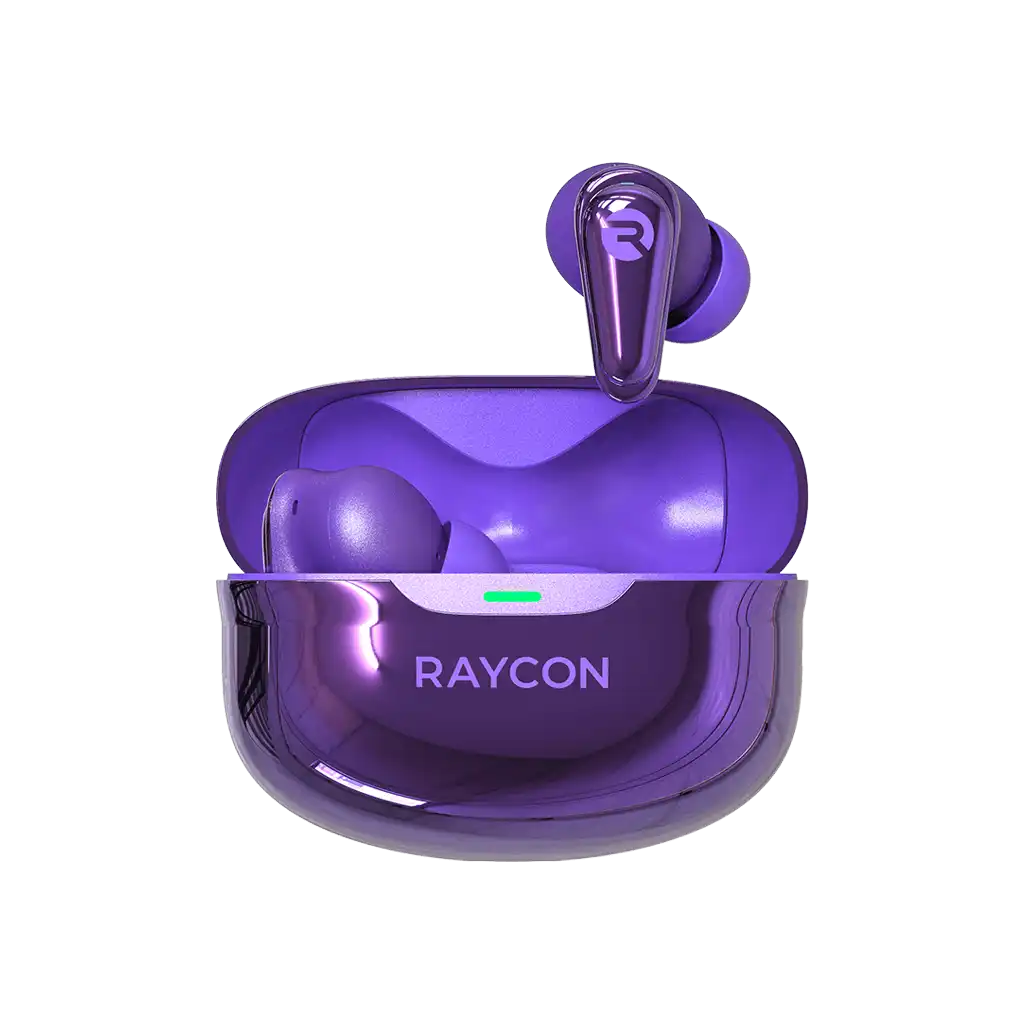 raycontechus.com