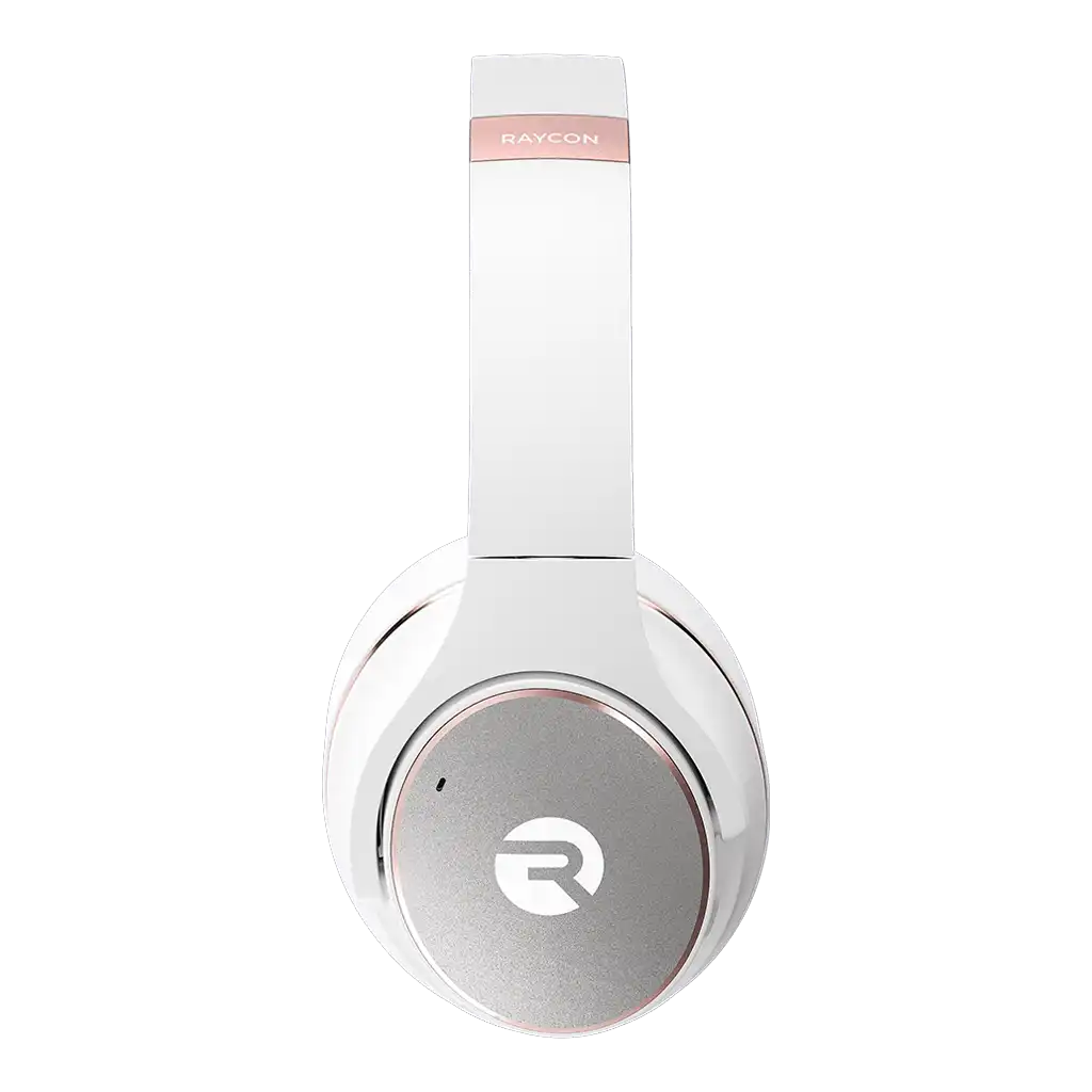 raycontechus.com