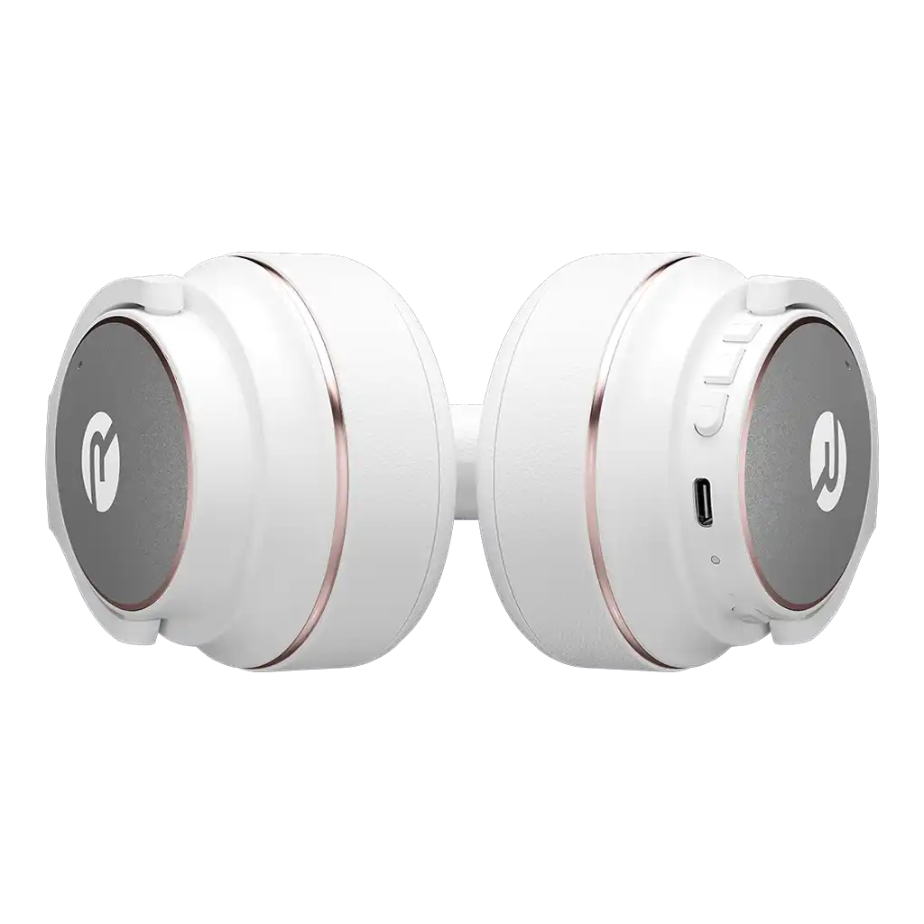 raycontechus.com