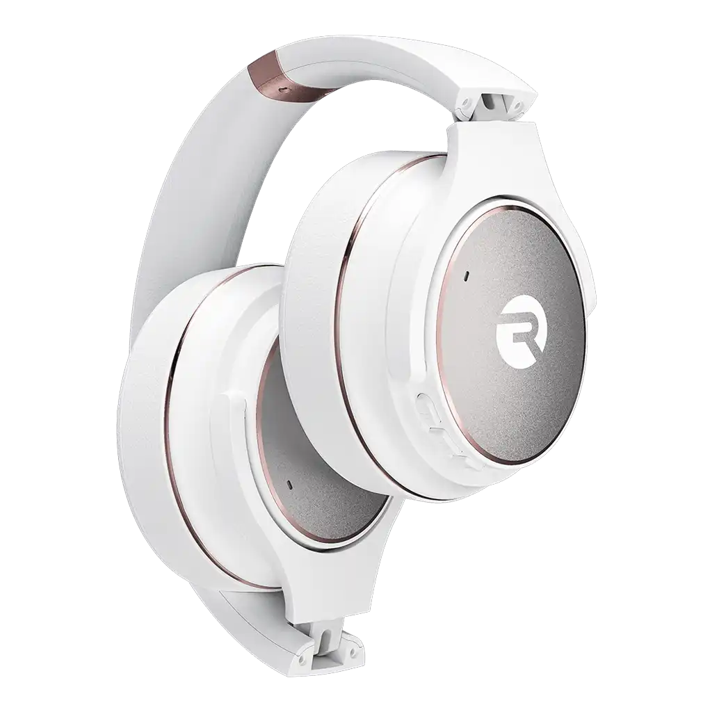 raycontechus.com