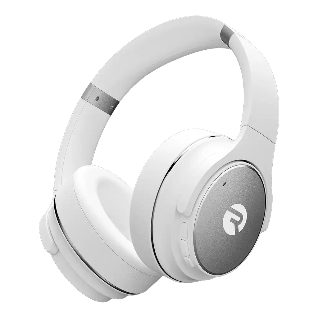 raycontechus.com