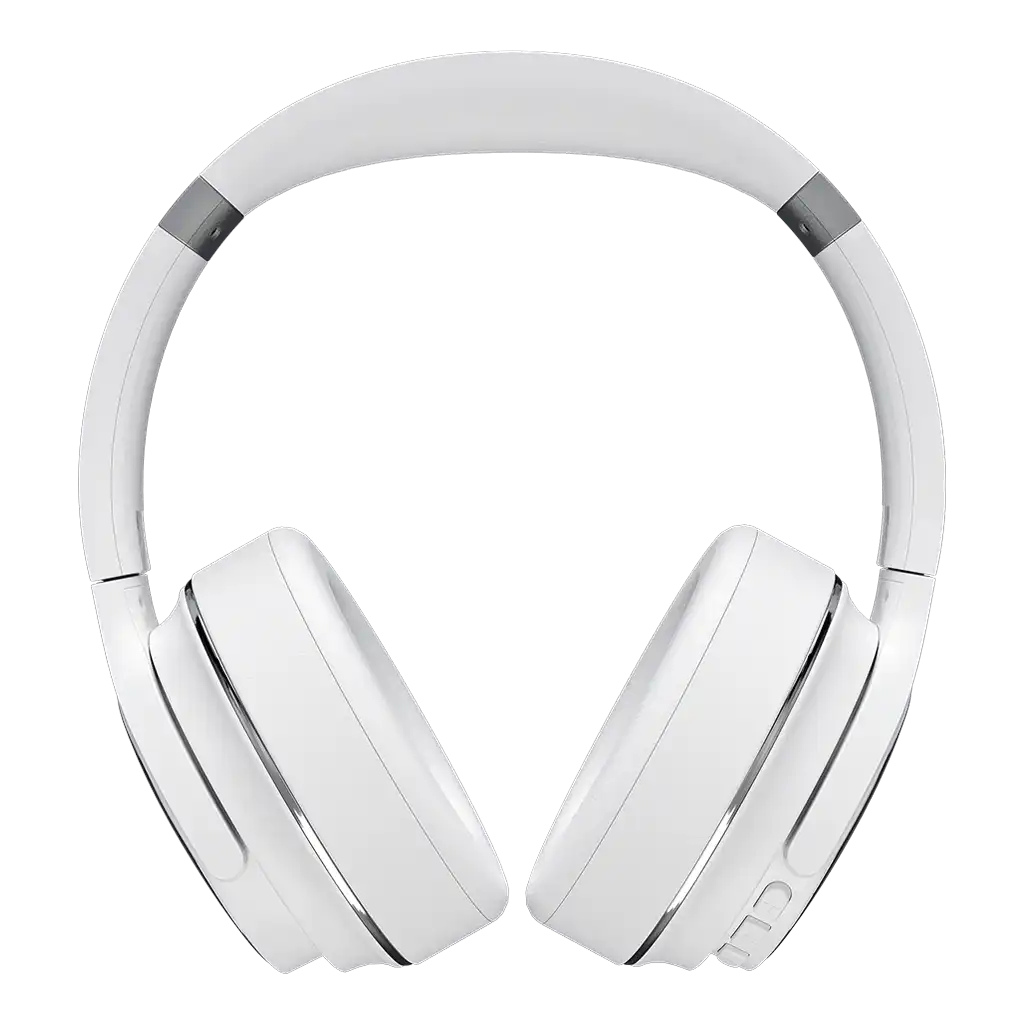 raycontechus.com