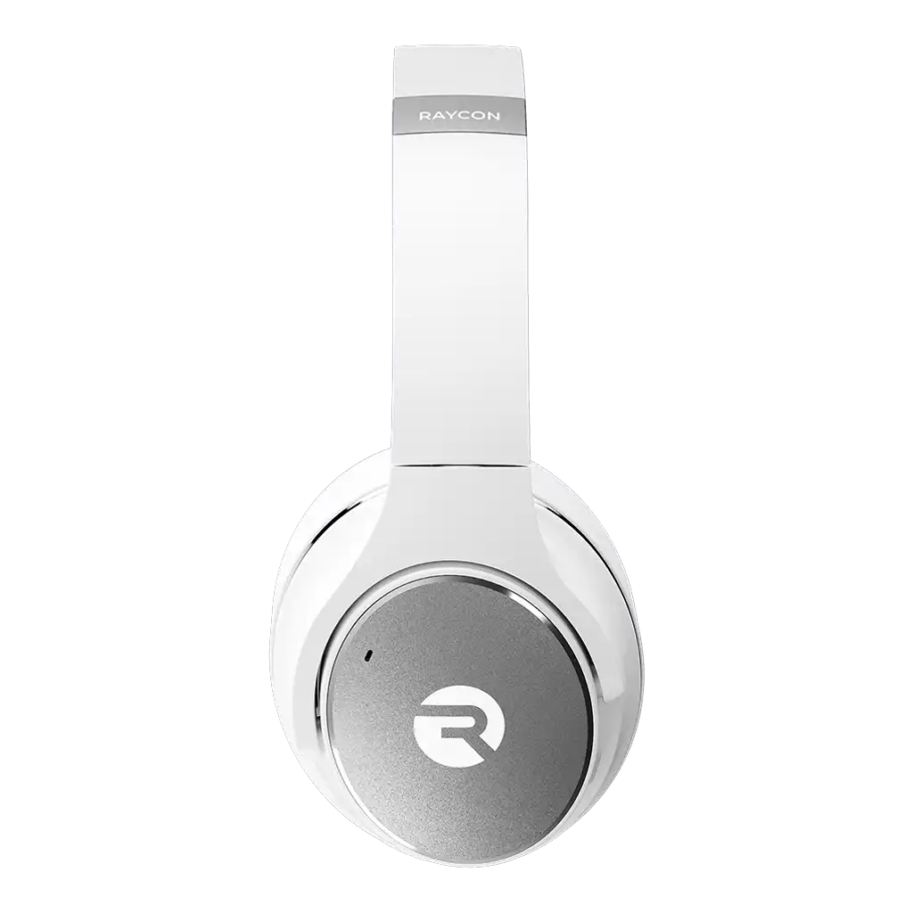 raycontechus.com
