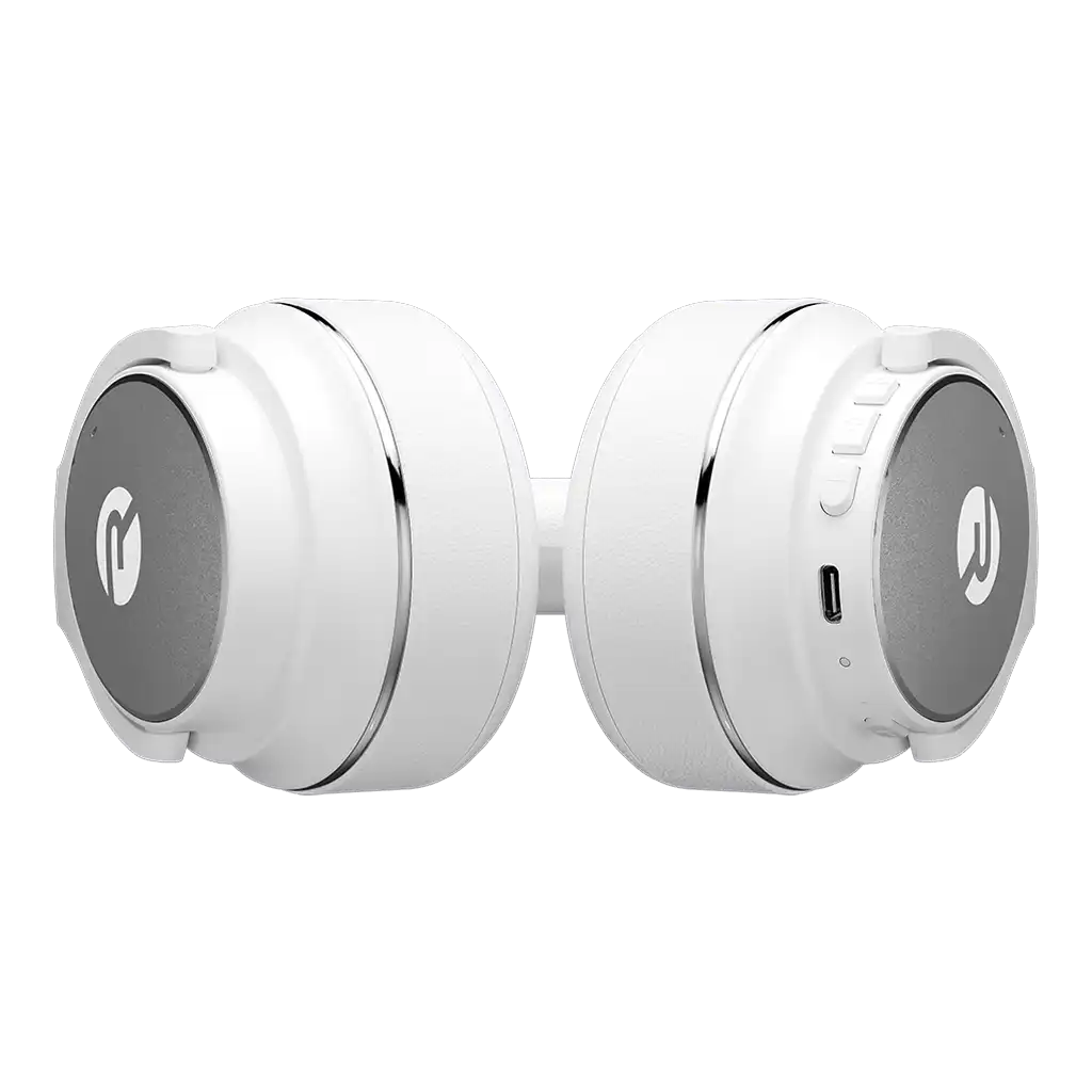 raycontechus.com