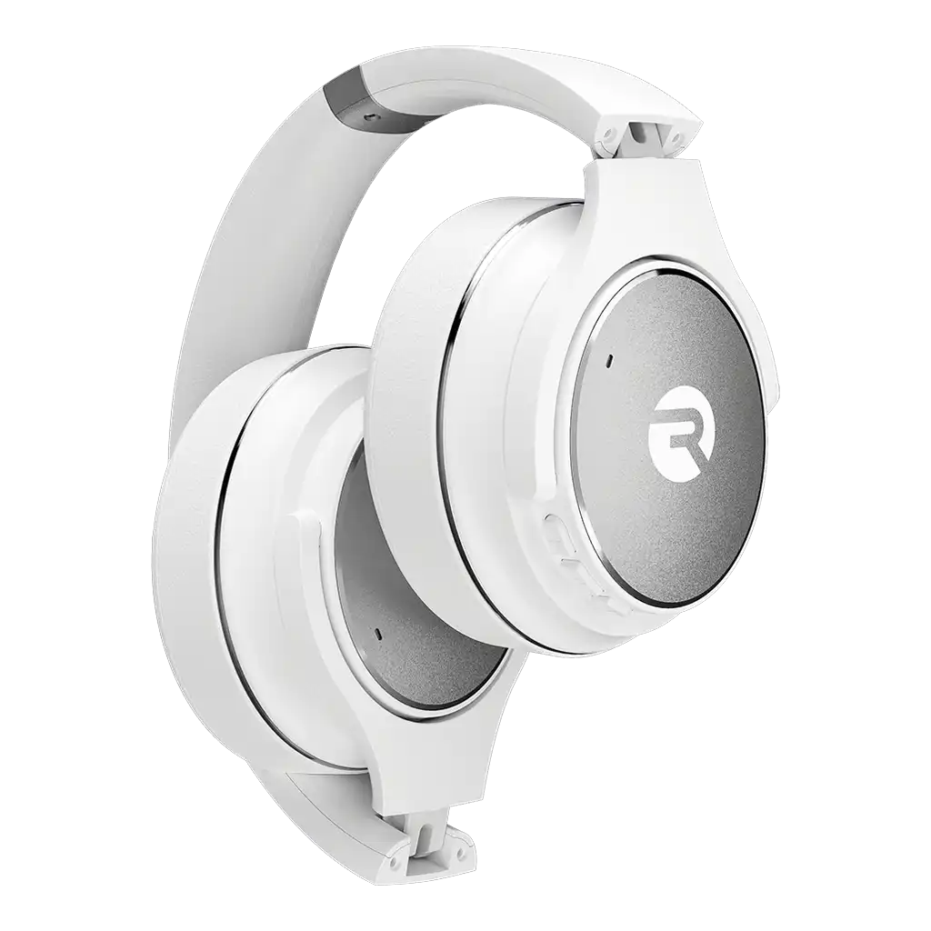 raycontechus.com