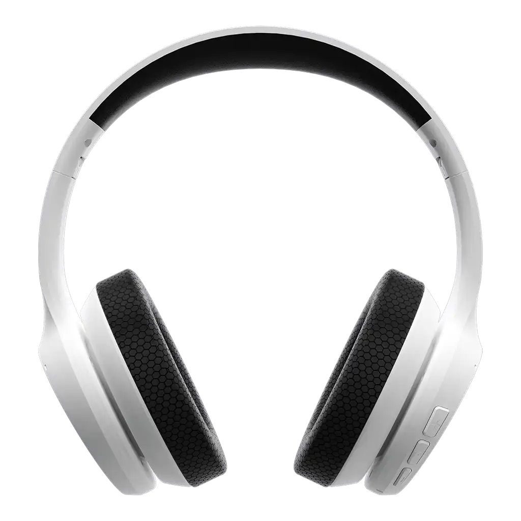 raycontechus.com