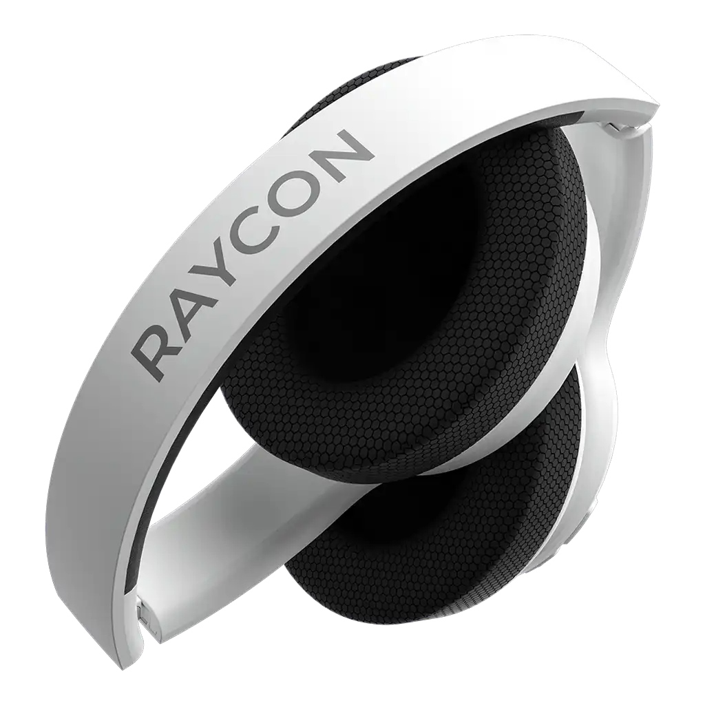 raycontechus.com