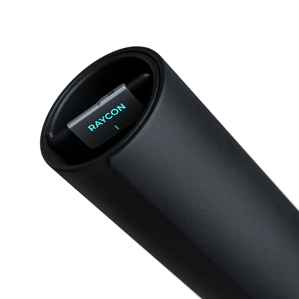 raycontechus.com