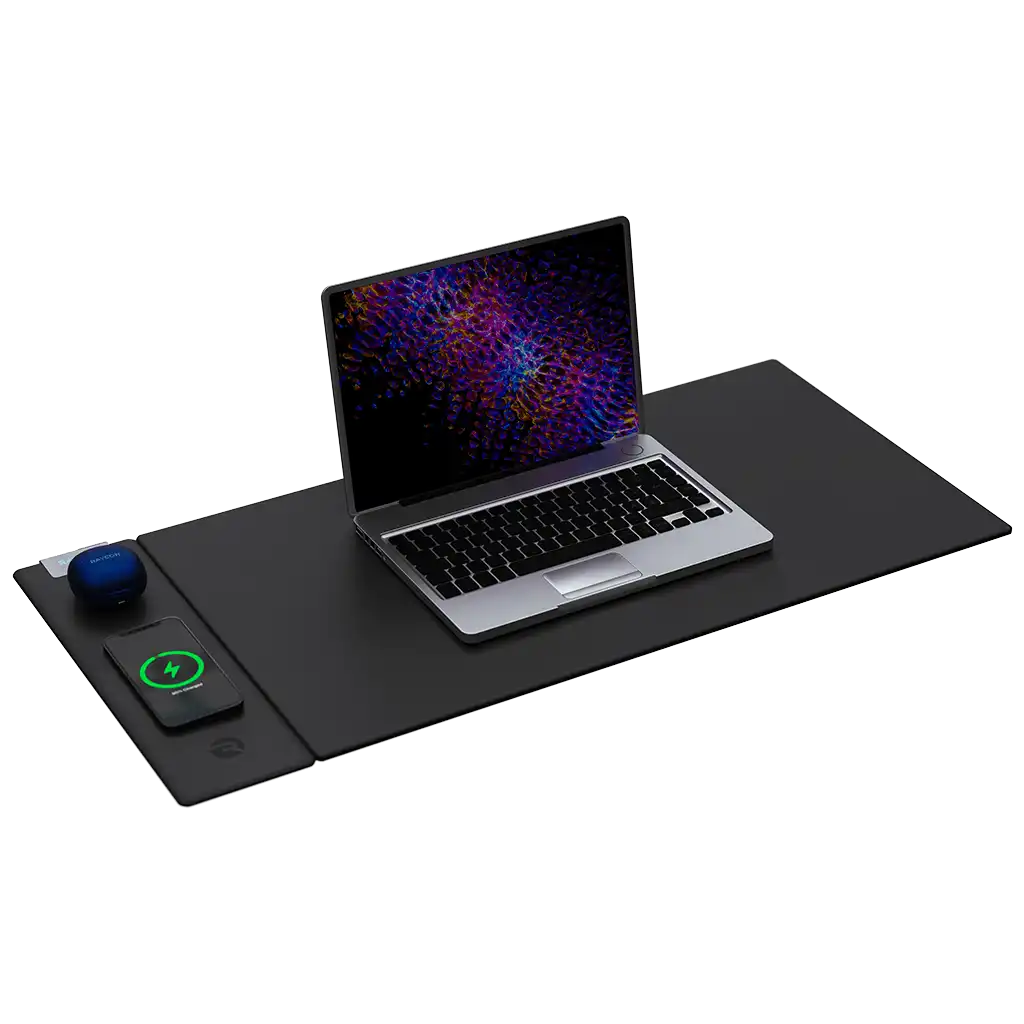 raycontechus.com