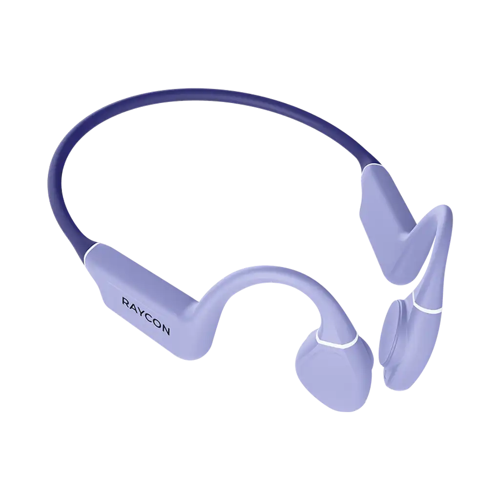 raycontechus.com