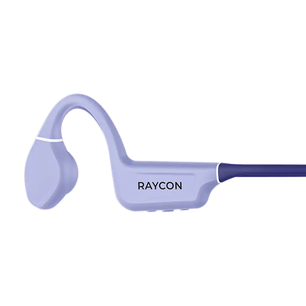 raycontechus.com