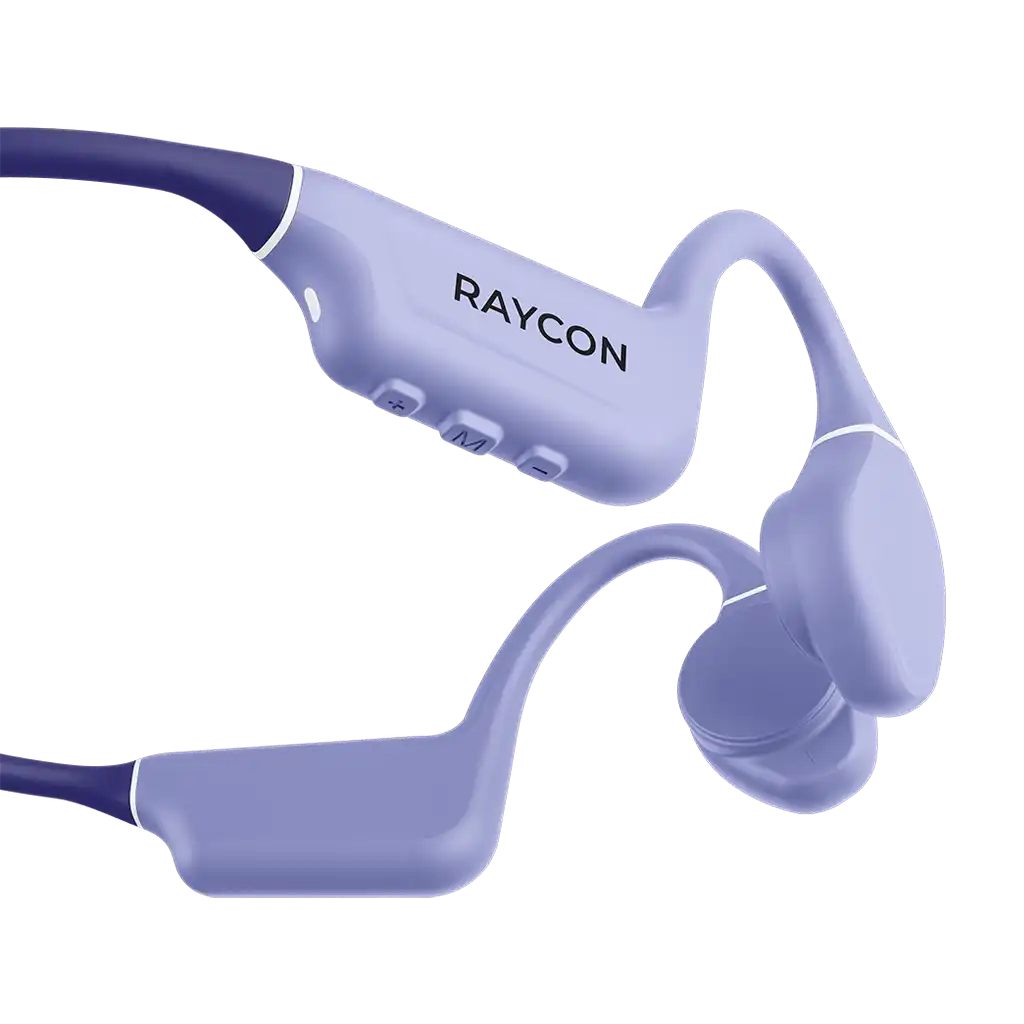 raycontechus.com