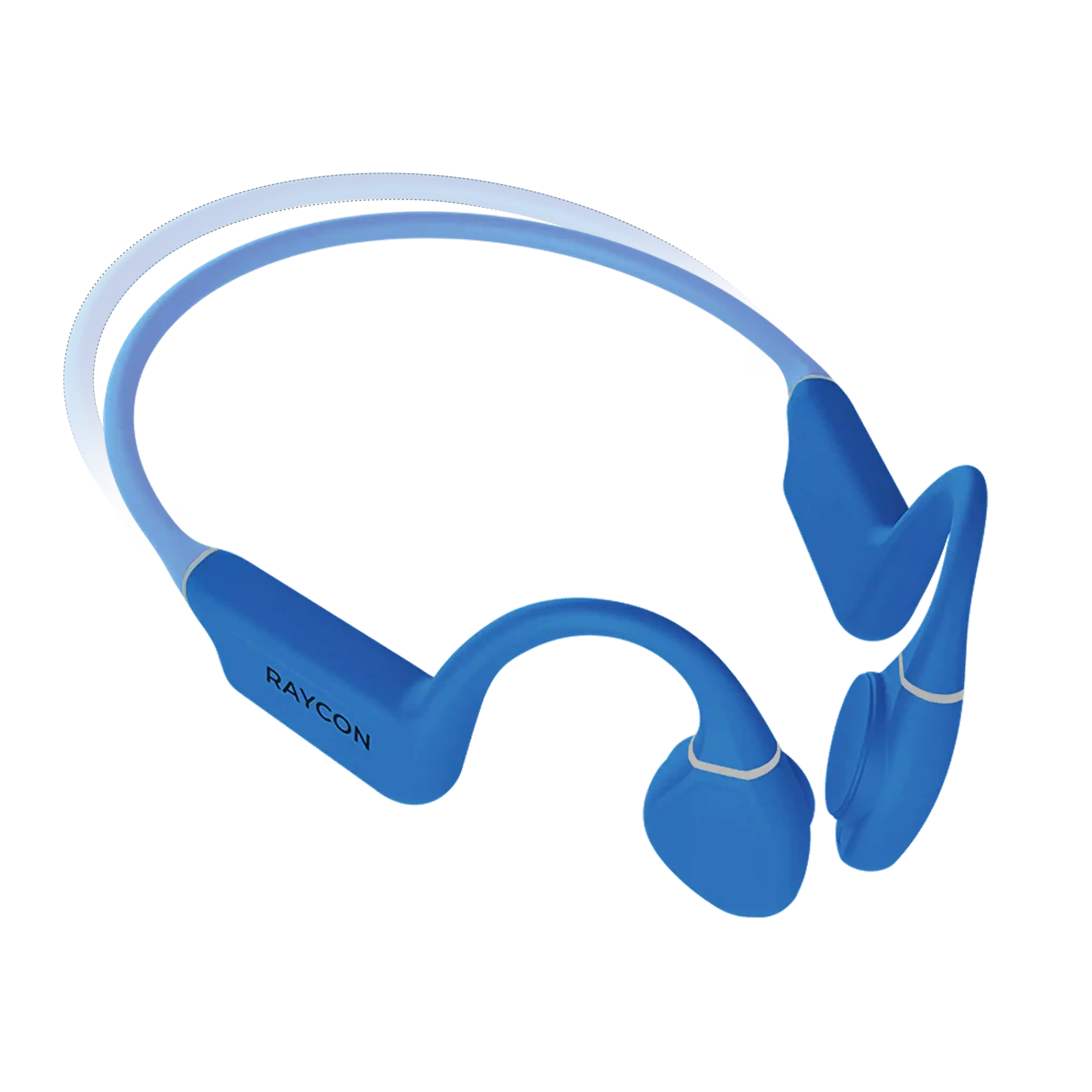 raycontechus.com