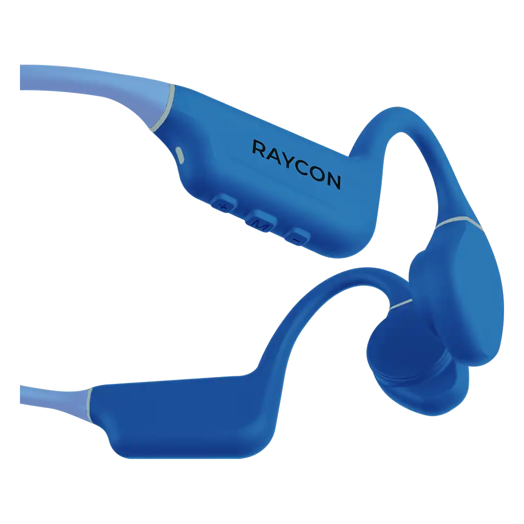 raycontechus.com