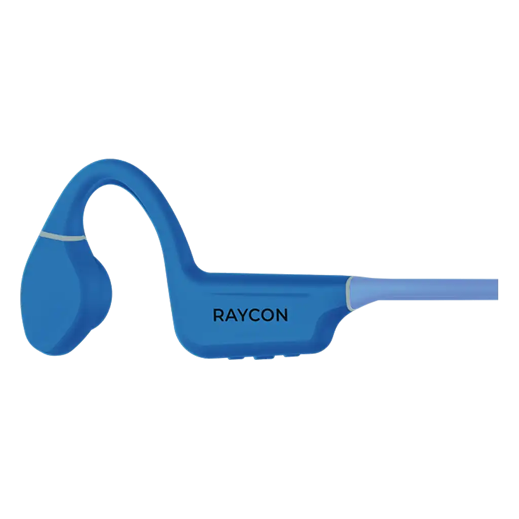 raycontechus.com