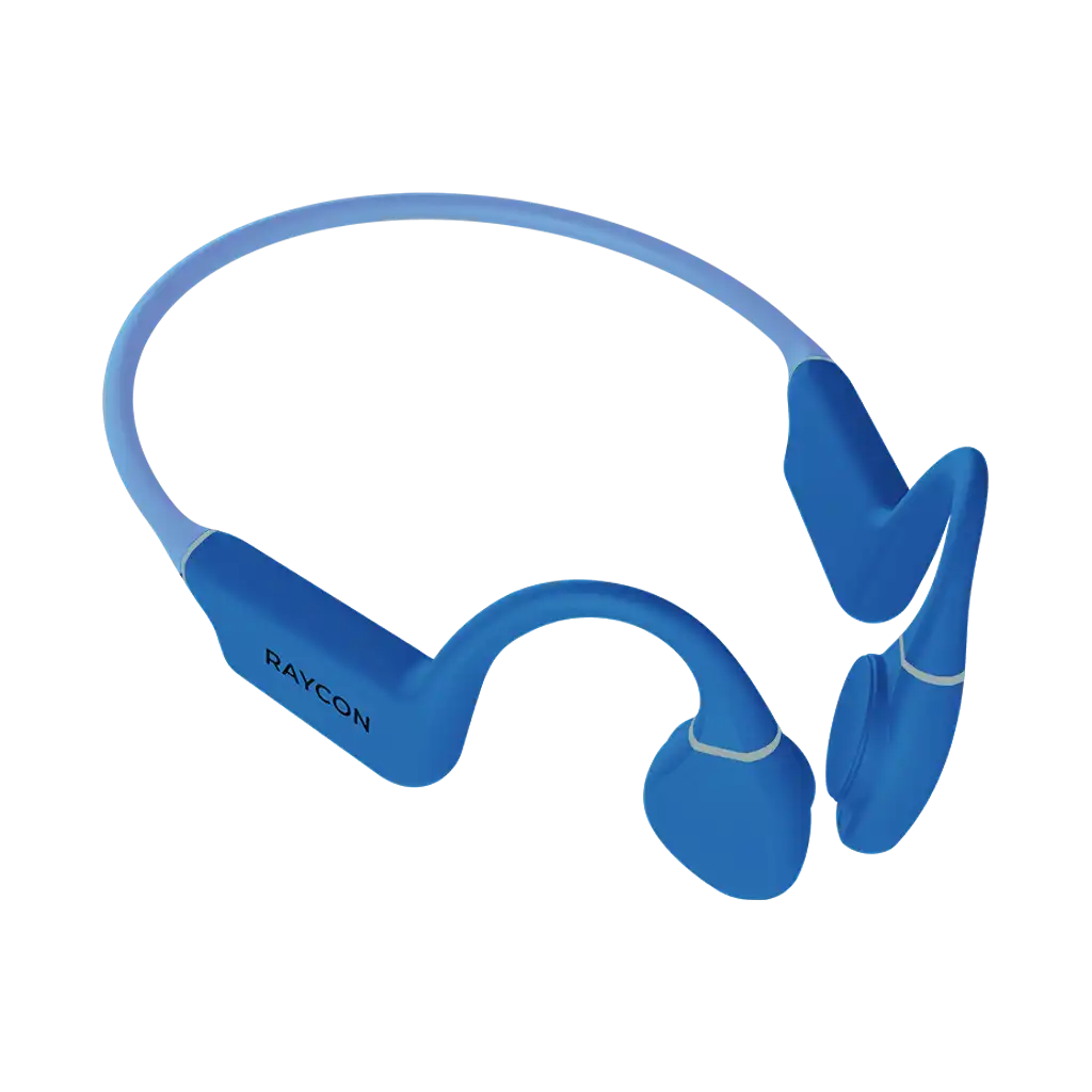 raycontechus.com