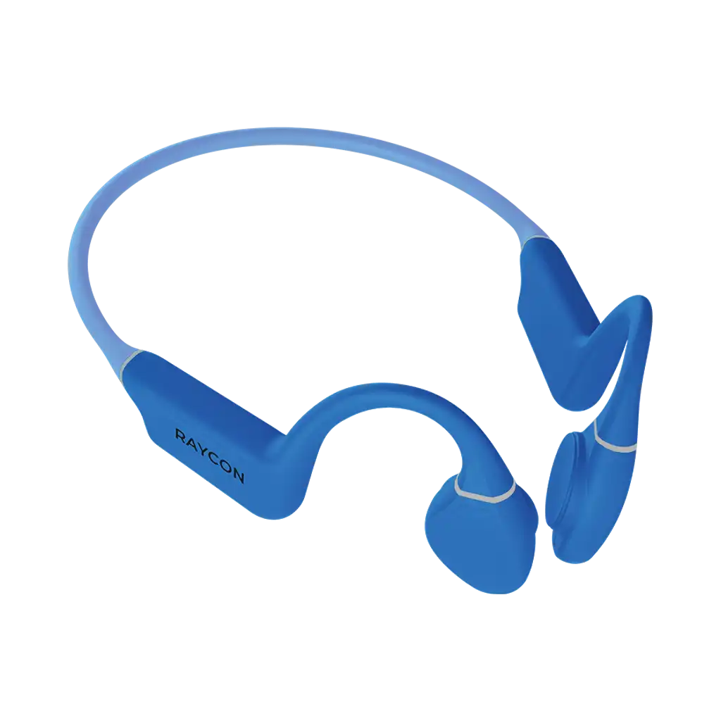 raycontechus.com