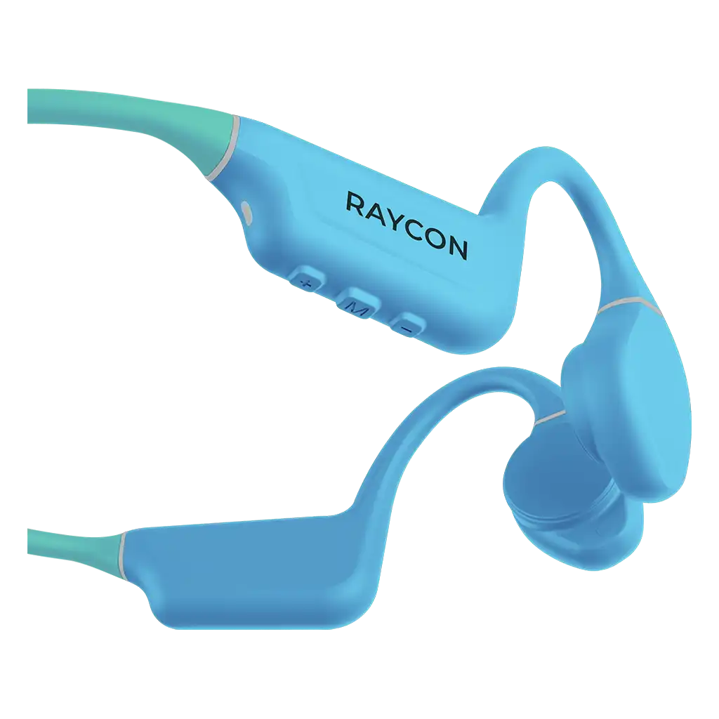 raycontechus.com
