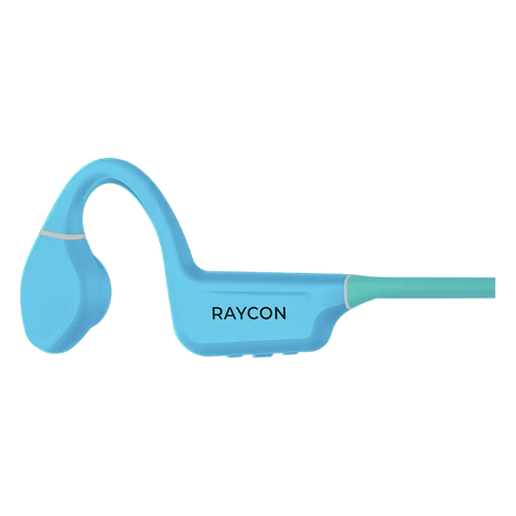 raycontechus.com